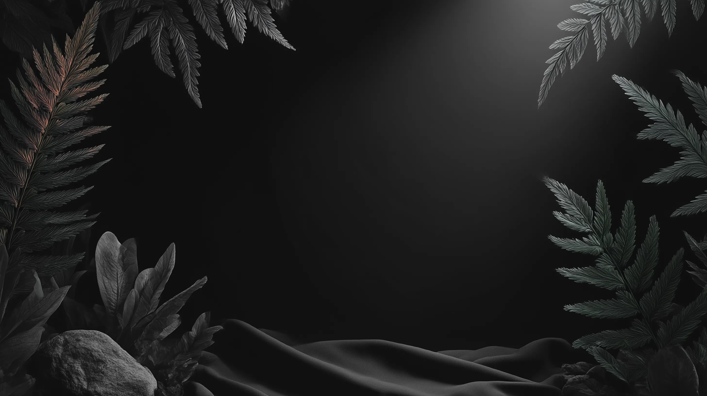 A dark, moody composition featuring various types of foliage, including ferns and broad leaves, arranged around the edges of the image. The background is predominantly black, with a soft light illuminating the upper right corner, creating a subtle gradient effect. A smooth, dark fabric is draped in the foreground, partially obscured by a rock, adding texture to the scene.