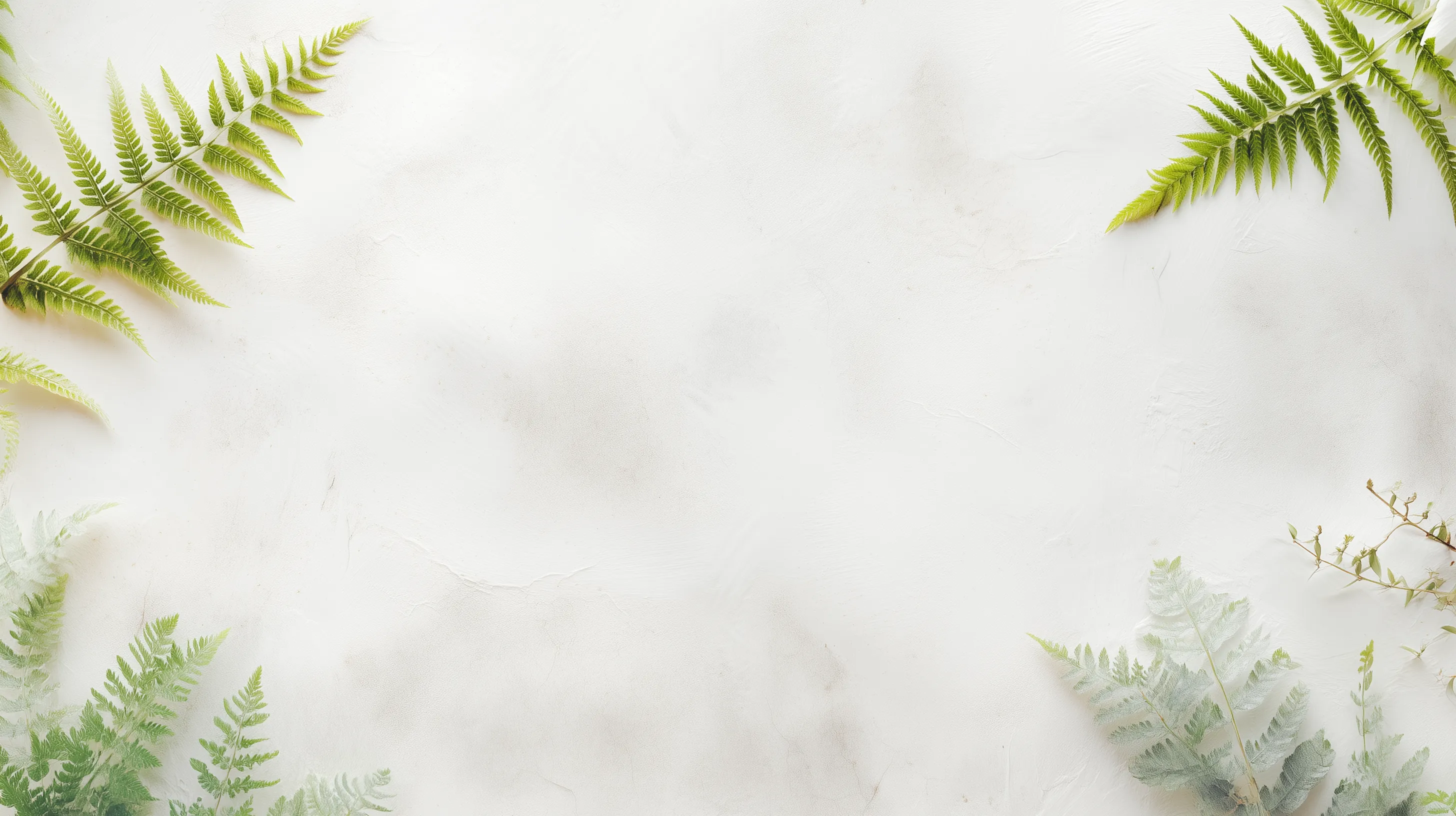 A flat lay image featuring various green ferns arranged around the edges of a light, textured background. The ferns vary in size and shape, creating a natural frame effect. The background is predominantly white with subtle textures and hints of light, enhancing the fresh and organic feel of the composition.