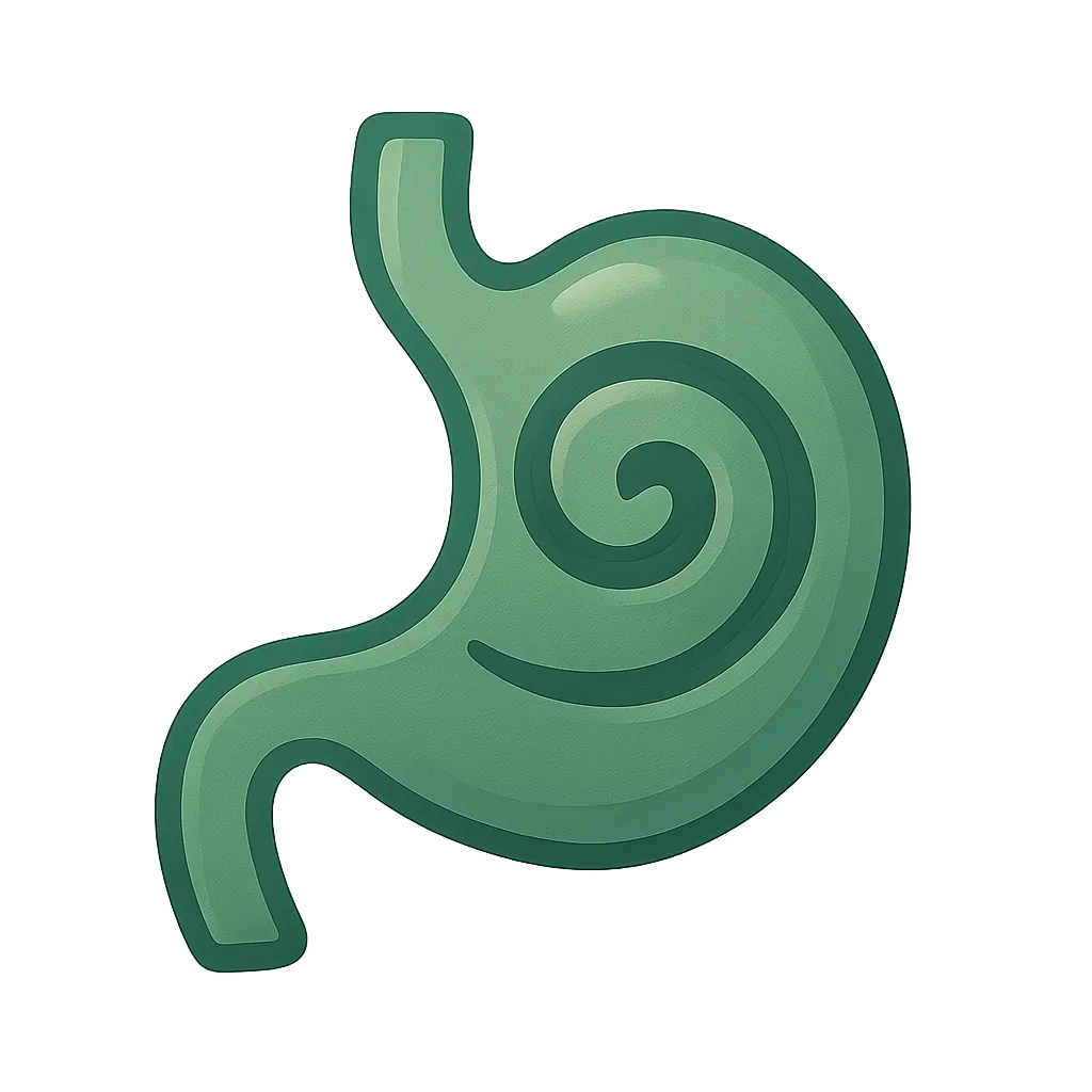 A stylized green icon resembling a stomach with a spiral shape. The design features smooth curves and a glossy finish, set against a soft, blurred green background that enhances the icon's visibility. The stomach shape has a prominent spiral element, suggesting movement or digestion.